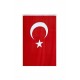 Şanlı Bayrak 30x45 Türk Bayrağı